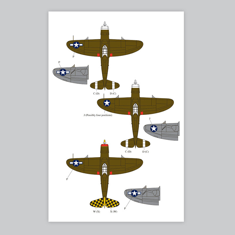 A47 P. TBFS #one 大きめ OC pup 株分け 