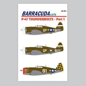 BC-48001  P-47 Thunderbolts - Part 1 - 1/48